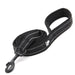 Soft Reflective Nylon Leash in Harness and Collar