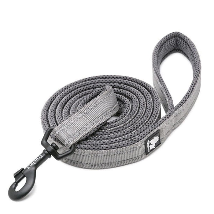 Soft Reflective Nylon Leash in Harness and Collar