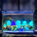 Vibe Geeks Solar Powered Glow in the Dark Garden Pebbles