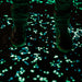Vibe Geeks Solar Powered Glow in the Dark Garden Pebbles