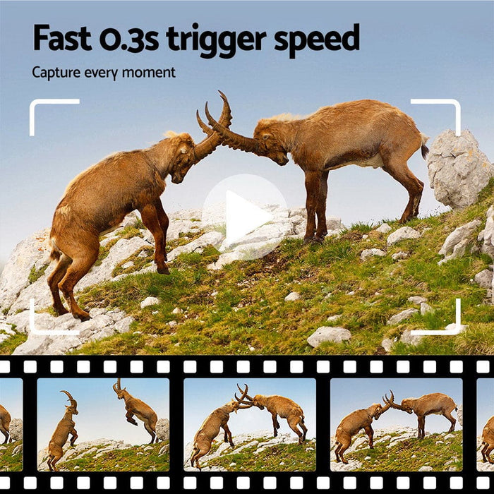 Solar Trail Camera 4k 50mp Wildlife