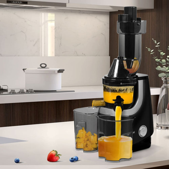 Goslash Picks Spector Slow Juicer Cold Press Whole Fruit
