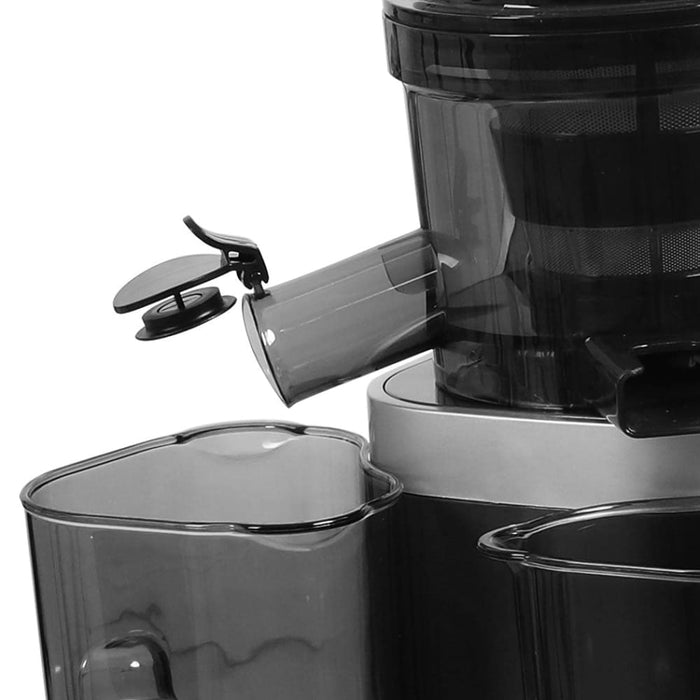 Goslash Picks Spector Slow Juicer Cold Press Whole Fruit