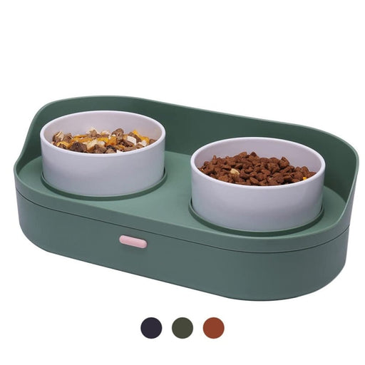 No Spill Anti Vomiting Food Water Bowls For Cat Small