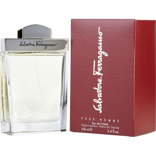 Edt Spray by Salvatore Ferragamo for Men - 100 Ml