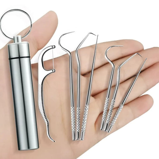 Stainless Steel Toothpick Set Portable Dental Cleaning Tool