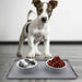 Stainless Steel Non - toxic Pet Water Food Double Bowl