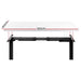 Standing Desk Electric Height Adjustable Sit Stand Desks