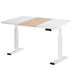Standing Desk Motorised Dual Motor 120cm