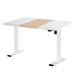 Standing Desk Motorised Sit Stand Desks 120cm
