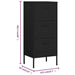 Storage Cabinet Black 42.5x35x101.5 Cm Steel Ttloni