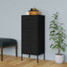 Storage Cabinet Black 42.5x35x101.5 Cm Steel Ttloni