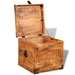 Storage Chest Cubic Rough Mango Wood Xaoltl