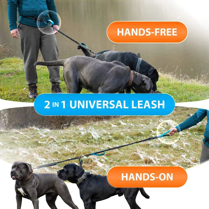 Strong Hands Free Double Dog Leash Reflective