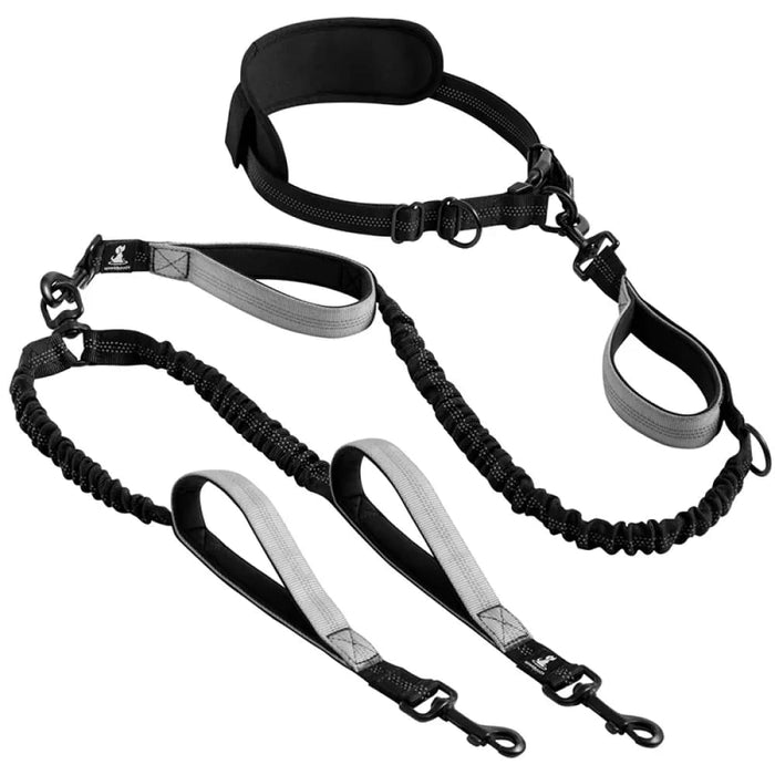 Strong Hands Free Double Dog Leash Reflective