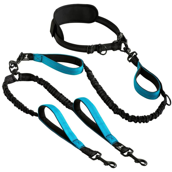 Strong Hands Free Double Dog Leash Reflective