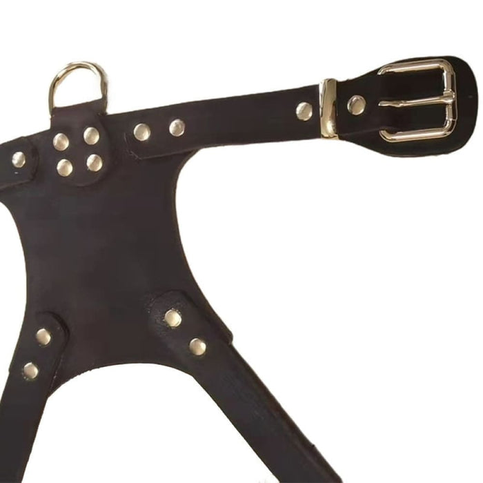Studd Design Leather Dog Harness