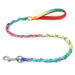 Sturdy Stainless Steel Metal Chain Dog Collar Lead Set