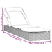Sunbed with Foldable Roof Black 213x63x97 Cm Poly Rattan