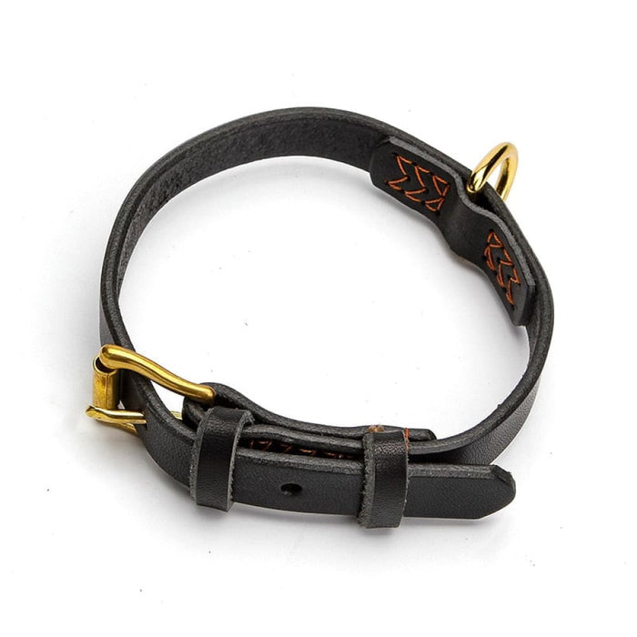 Suture Real Leather Adjustable Dog Collar