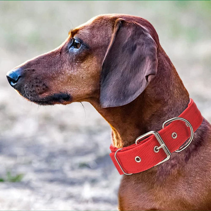 Tactical Dog Collar Durable Padded and Military Grade