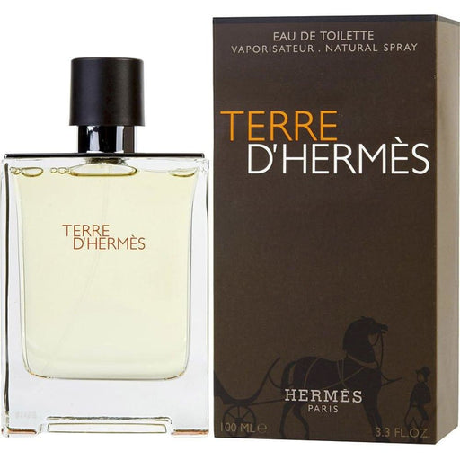 Terre D’hermes Edt Spray by Hermes for Men - 100 Ml