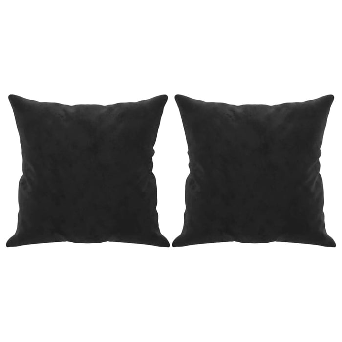 Throw Pillows 2 Pcs Black 40x40 Cm Velvet Takakb