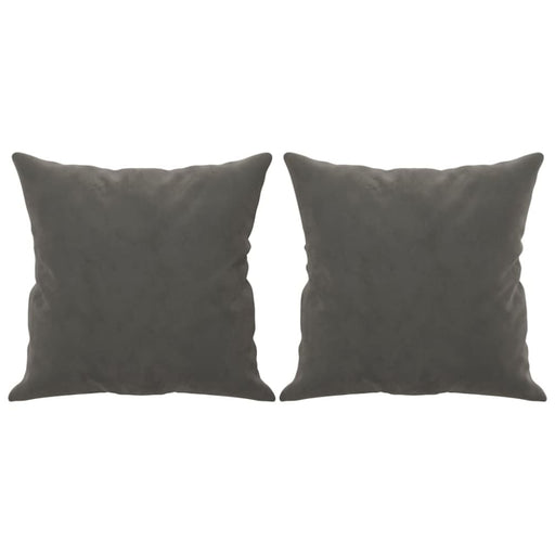 Throw Pillows 2 Pcs Dark Grey 40x40 Cm Velvet Takanl