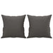 Throw Pillows 2 Pcs Grey 40x40 Cm Faux Leather Takanx