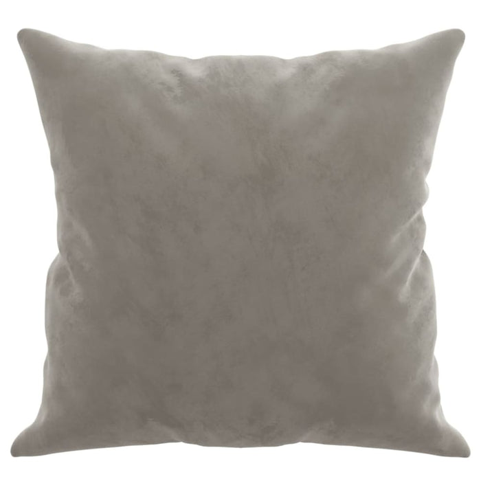 Throw Pillows 2 Pcs Light Grey 40x40 Cm Velvet Takanp