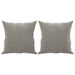 Throw Pillows 2 Pcs Light Grey 40x40 Cm Velvet Takanp