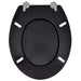 Wc Toilet Seat Mdf Lid Simple Design Black Oabnbx
