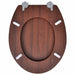 Wc Toilet Seat Mdf Lid Simple Design Brown Oabnbt