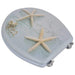 Wc Toilet Seat Mdf Lid Starfish Oabnbp