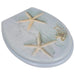 Wc Toilet Seat Mdf Lid Starfish Oabnbp