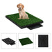 Pet Toilet with Tray and Artificial Turf Green Wc Oibill