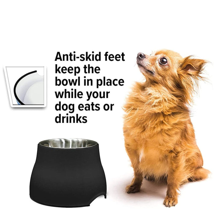 Non-toxic Removable Pet Bowl Feeding with Stand