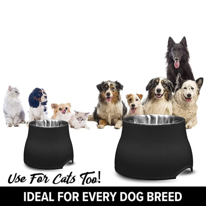 Non-toxic Removable Pet Bowl Feeding with Stand
