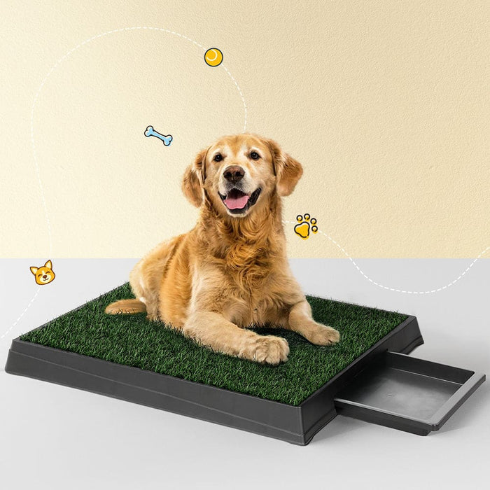 Pet Training Pad Dog Potty Toilet Large Loo Portable