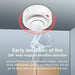 Tuya Wifi Smoke Alarm Fire Protection Detector For Home