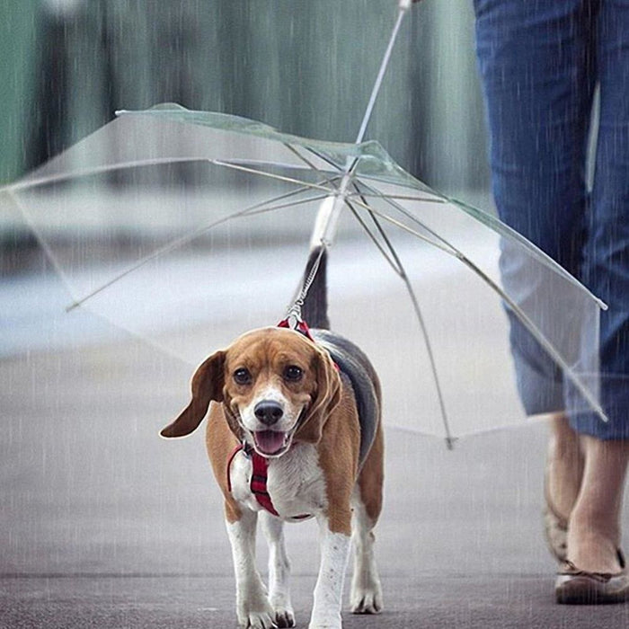 Pet Umbrella With Built - in Chain Leash