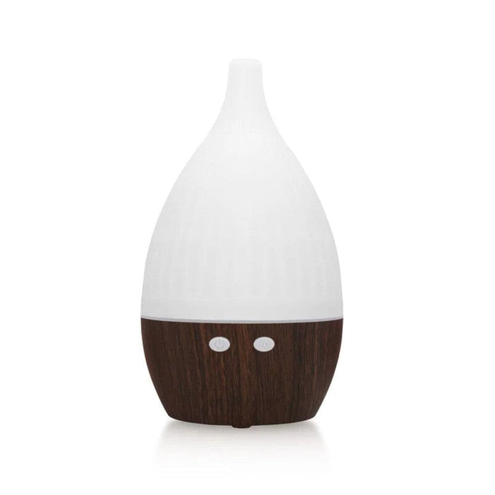 Usb Aroma Diffuser Humidifier With Essential Oil Spray