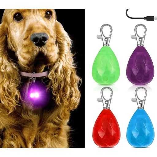 Usb Rechargeable Led Dog Collar Light