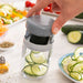 Vegetable Spiral Cutter And Grater With Recipes Vigizer