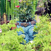 Vibe Geeks Denim Jeans Resin Outdoor Garden Flower Pot