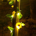 Vibe Geeks Solar Powered Decorative Sunflower Led String