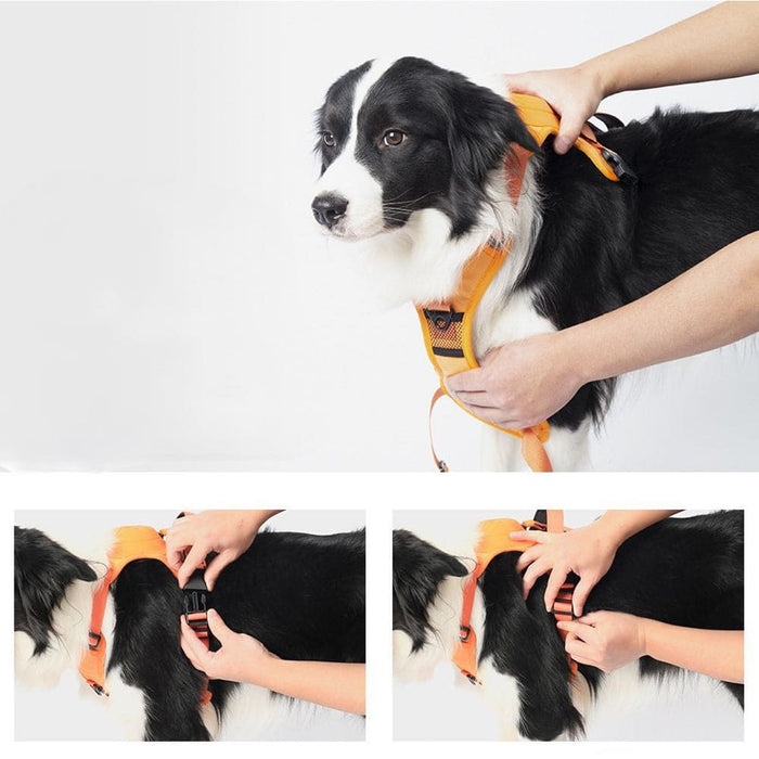 Vibe Geeks Ultimate 2 - in - 1 Reflective No - pull Dog