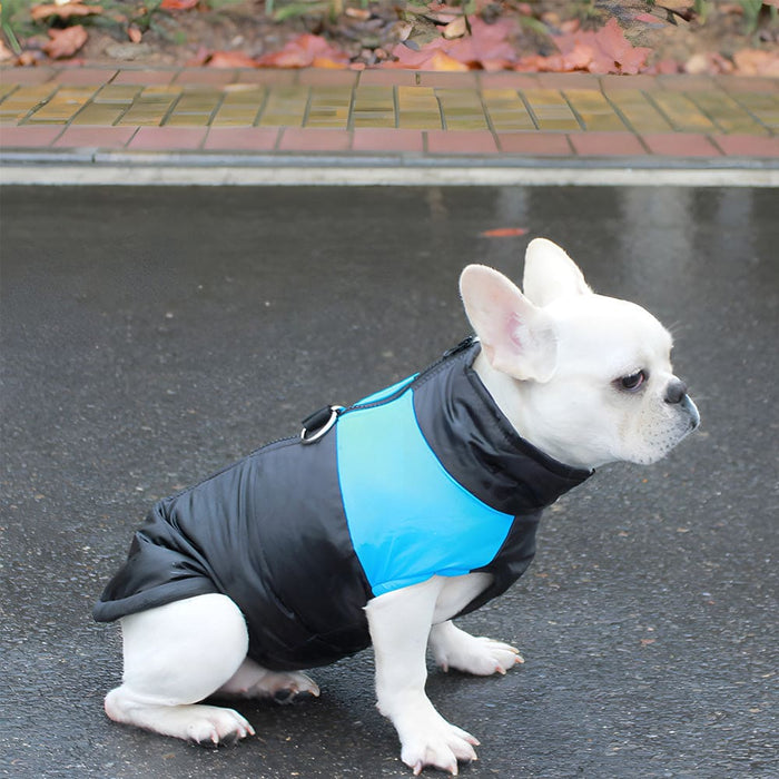 Vibe Geeks Warm Up Zip Padded Dog Jacket With Dual Ring