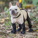 Vibe Geeks Waterproof Anti - fall Dog Outdoor Walking