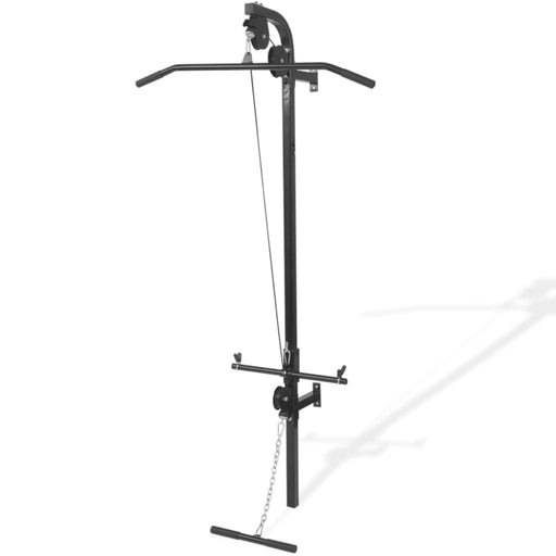 Wall - mounted Home Gym With 2 Pulleys Kotlk